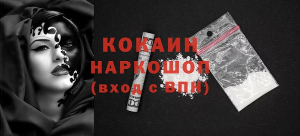 стаф Аркадак