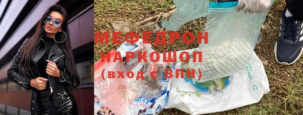стаф Аркадак