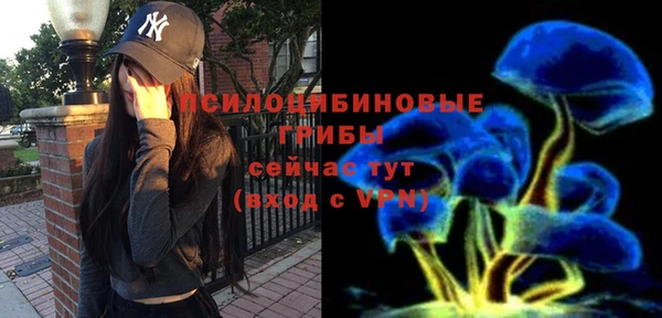 spice Армянск