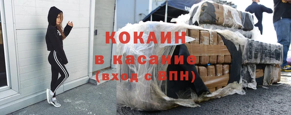 стаф Аркадак