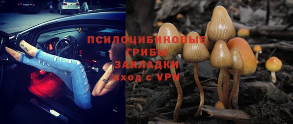 стаф Аркадак